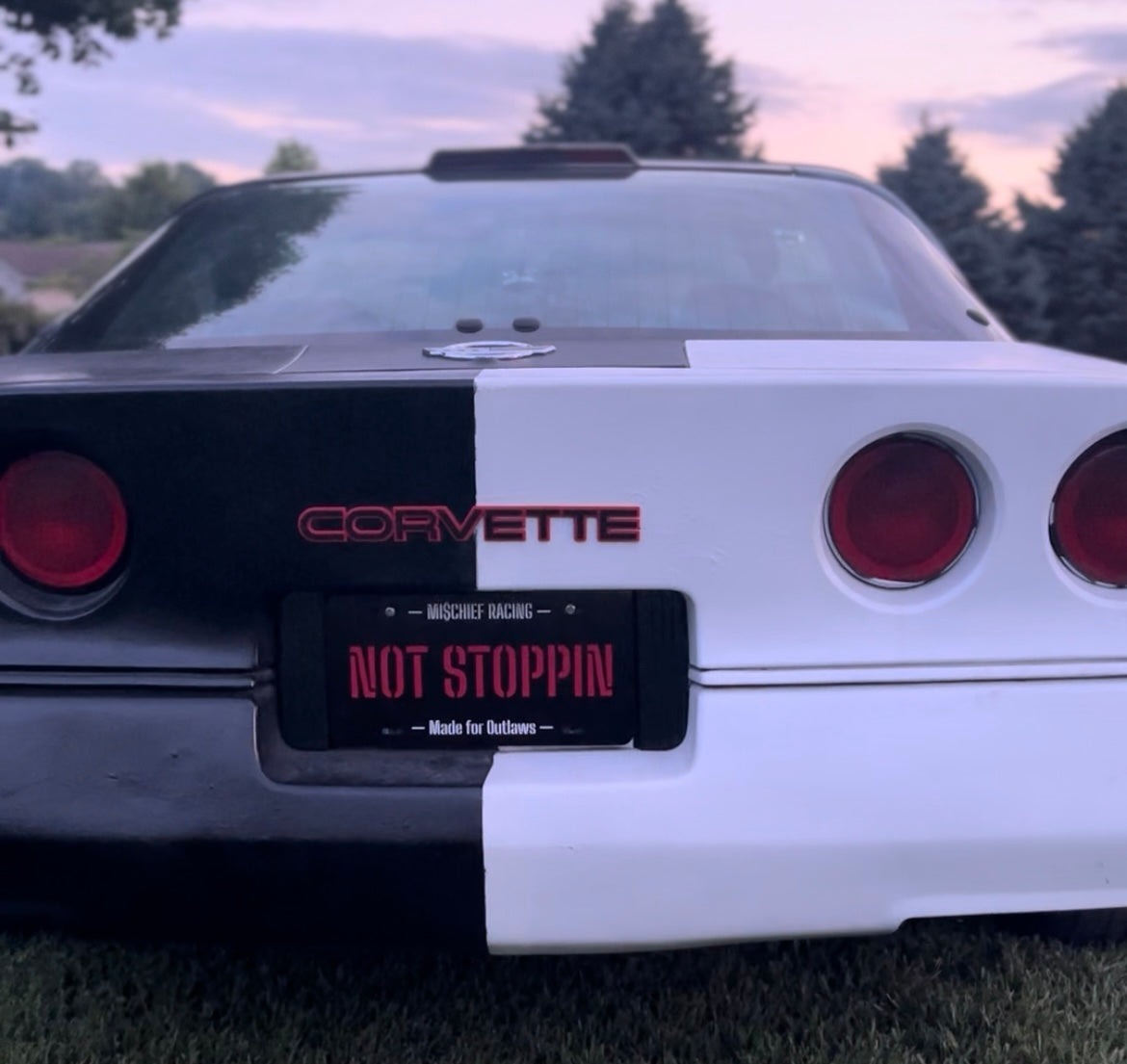 Official NOT STOPPIN License Plate