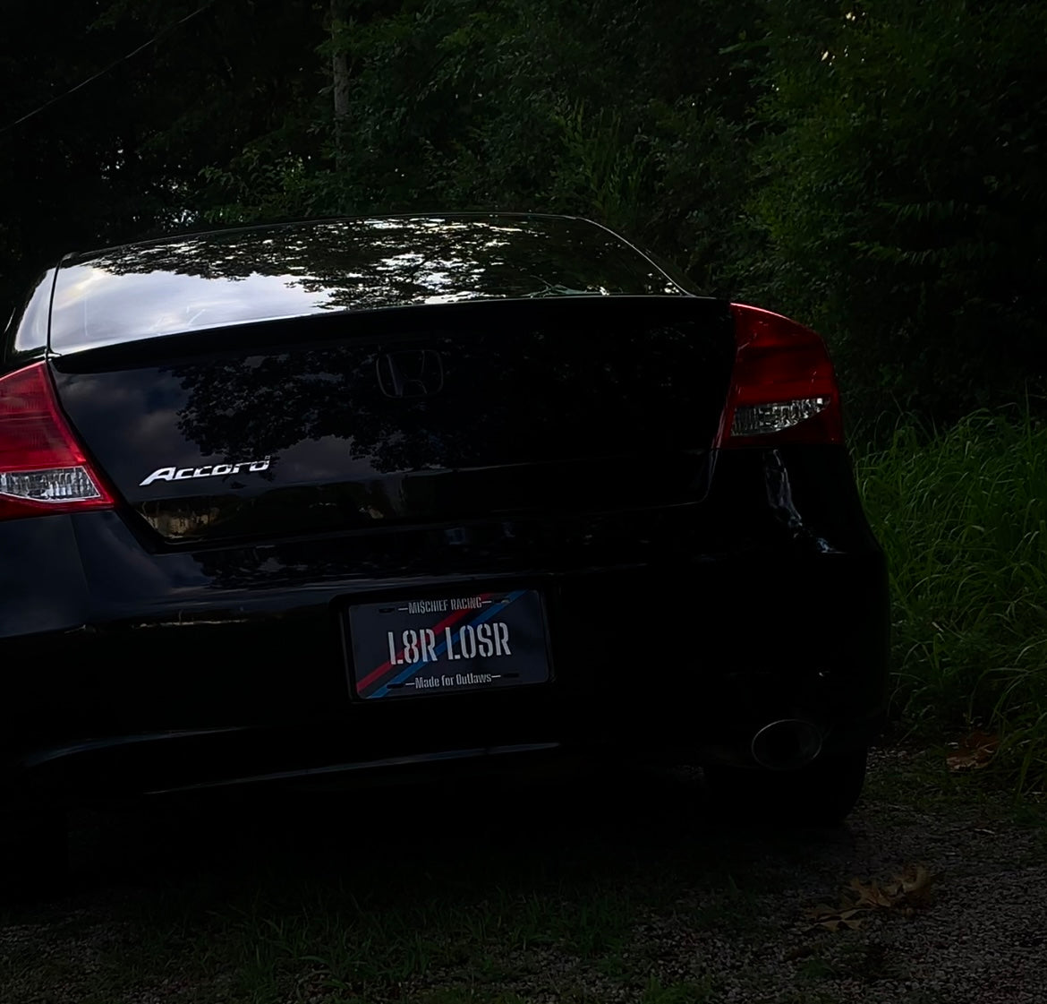 Official L8R L0SR License Plate